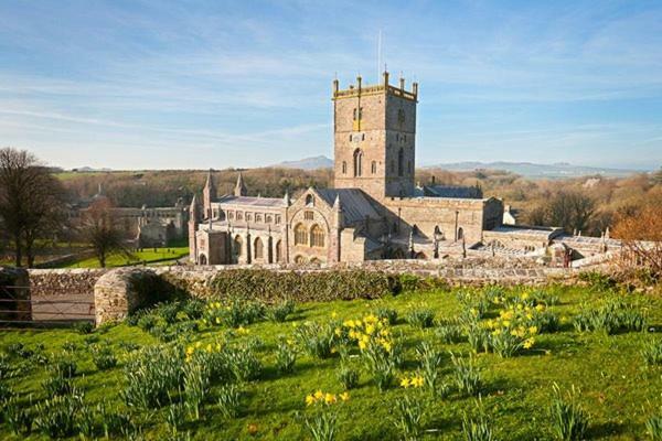 Blackmoor Farm Hotel Narberth Bagian luar foto